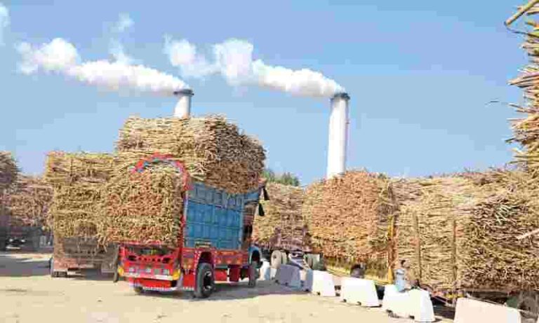 Sugar scandal: FIA sends questionnaires to 38 mills
