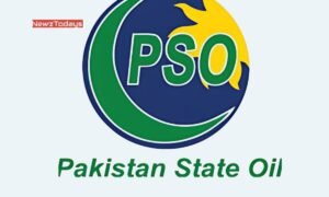Did pso get stakes in Guddu