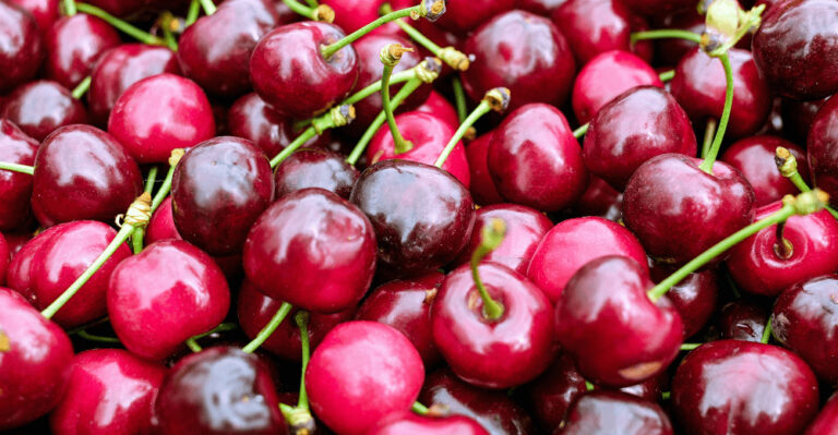 Food Minister suggests to encourage organic cherry in GB