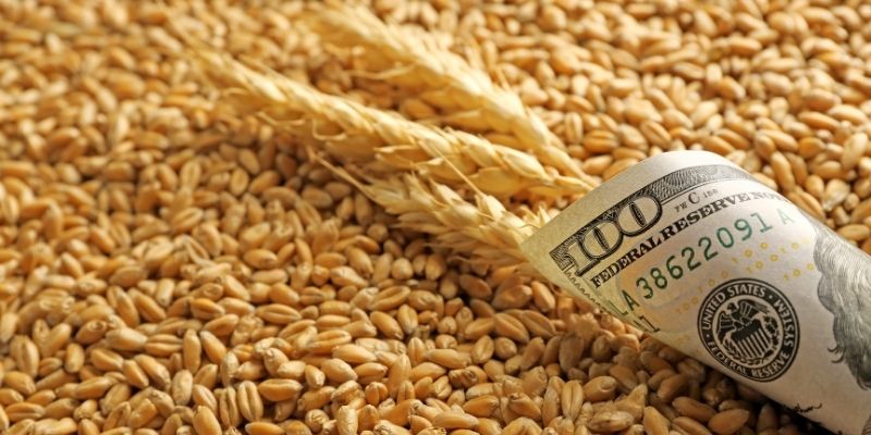 wheat import tender