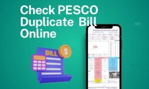 pesco duplicate bill online