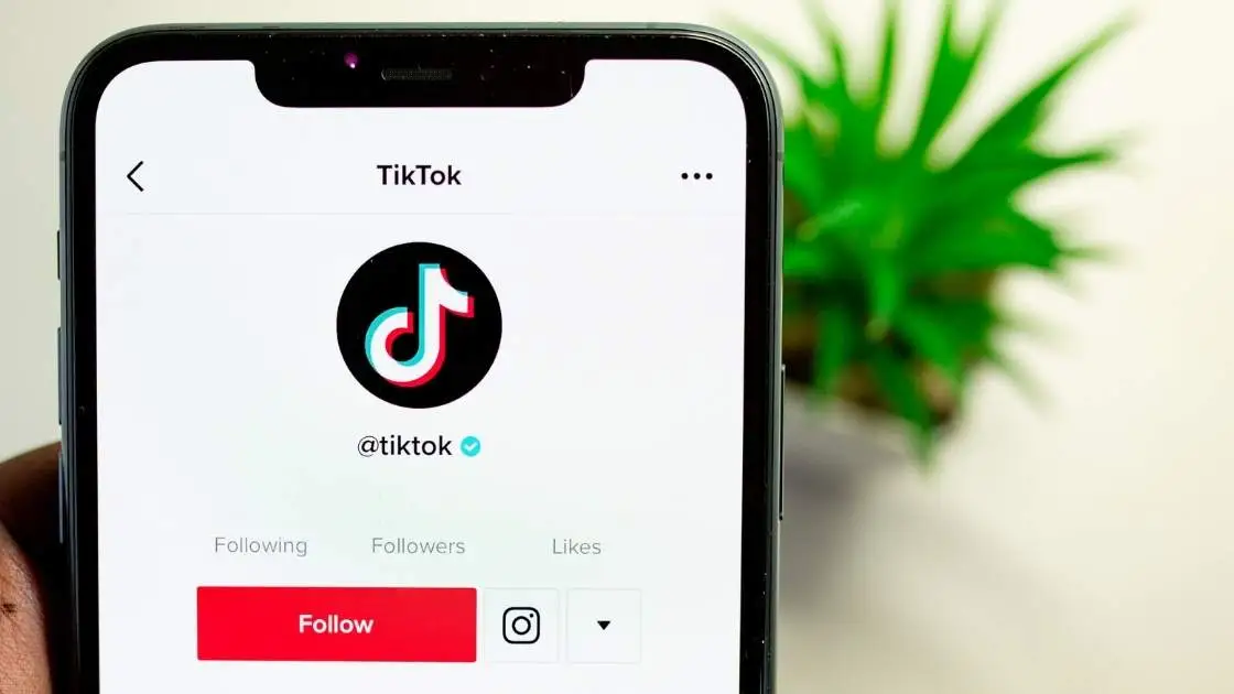 TikTok to Uphold Election Integrity in Pakistan