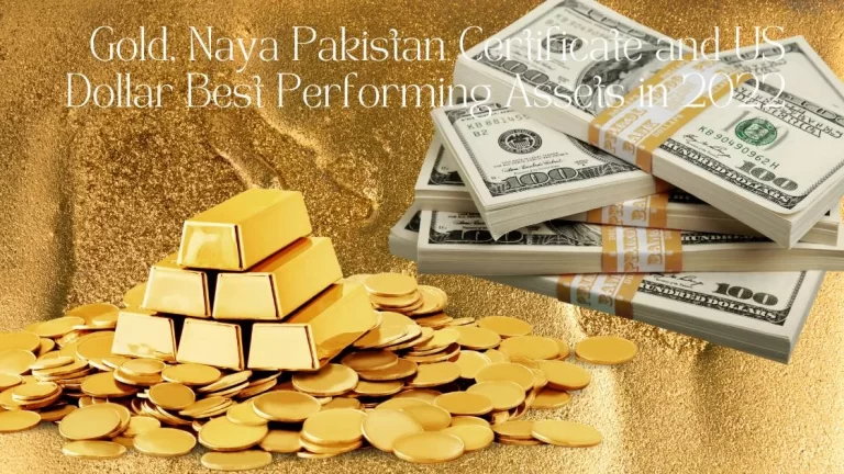 Gold, Naya Pakistan Certificate and US Dollar Best Performing Assets in 2022