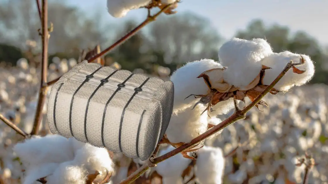 Cotton Production at 11.5m bales