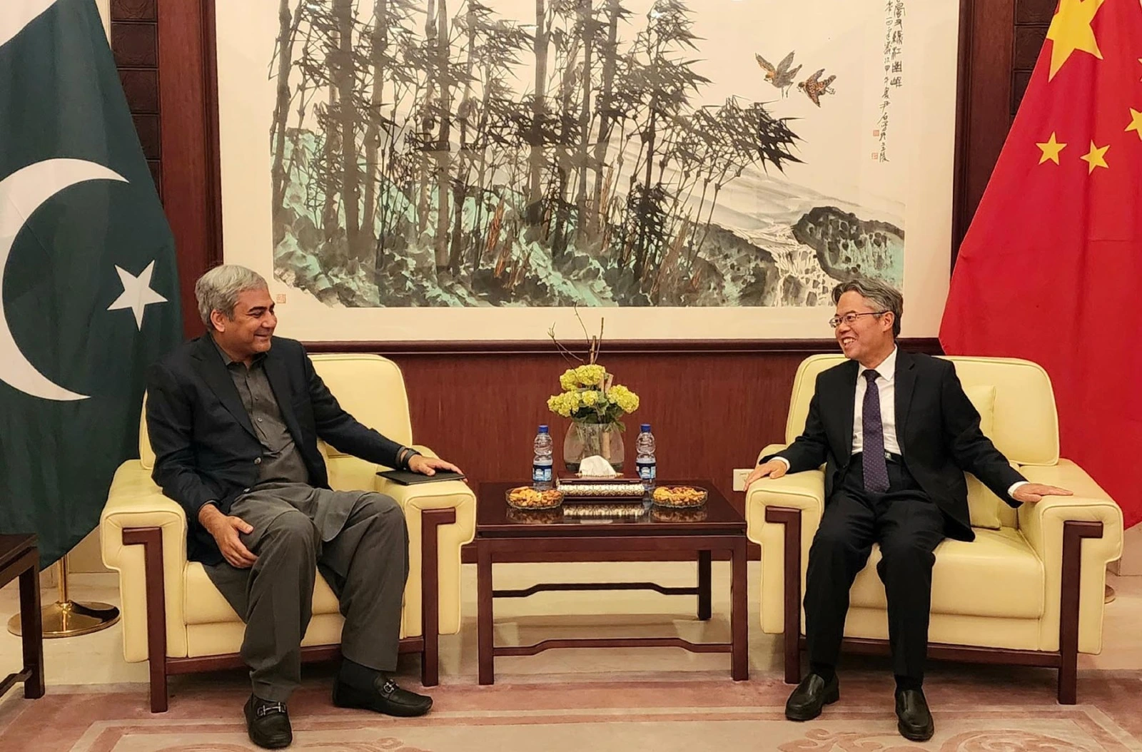 Interior Minister Meets Chinese Ambassador, Discusses Security Measures