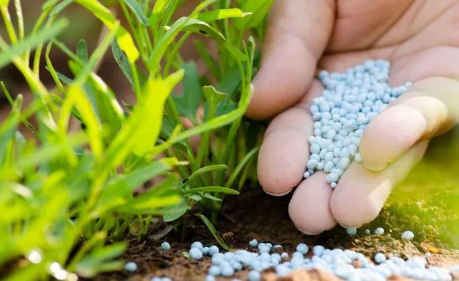 Pakistan to Import Urea from Turkmenistan