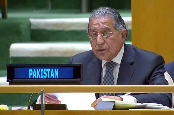 Pakistan Calls for Enhanced UN-Regional Cooperation