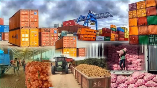 Agricultural exports witness significant growth due to SIFC