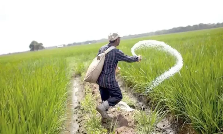 IMF Bars to Give Subsidy on Import of Urea