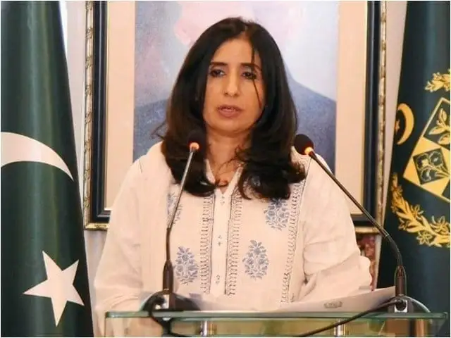 Pakistan Calls for Global Response to Gaza and Kashmir Crises Amidst Strengthened Türkiye Relations