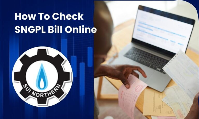 sngpl bill online