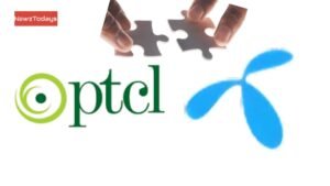 Anusha Rahman Quits IT Panel