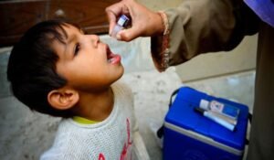 MT Default Temp 38 1