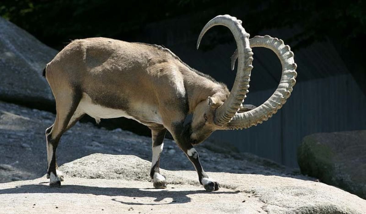 MT Default Temp 40 1