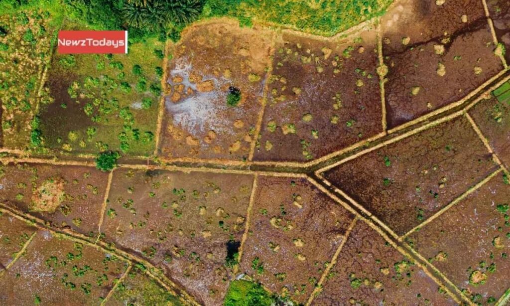 Retrieved State Land