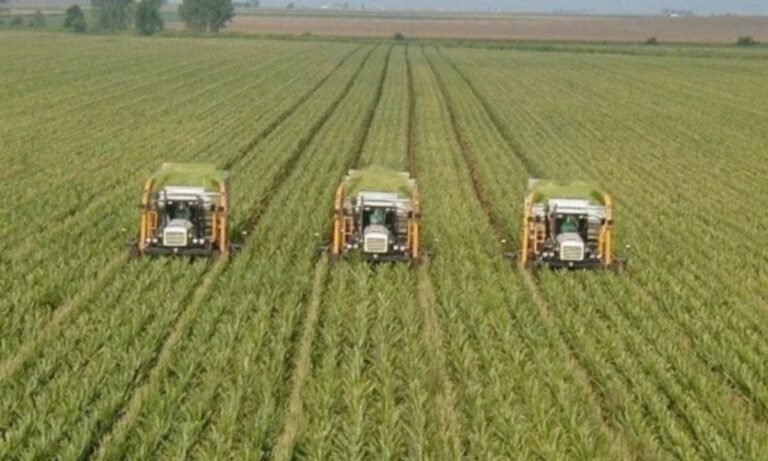 Punjab Unveils Interest-Free Loans for Farmers