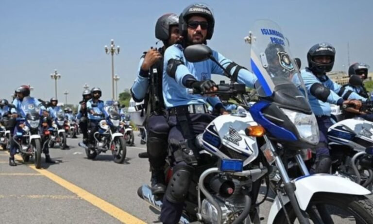 Watch: Dolphin Squad Faces Dismissal Over Disobedience