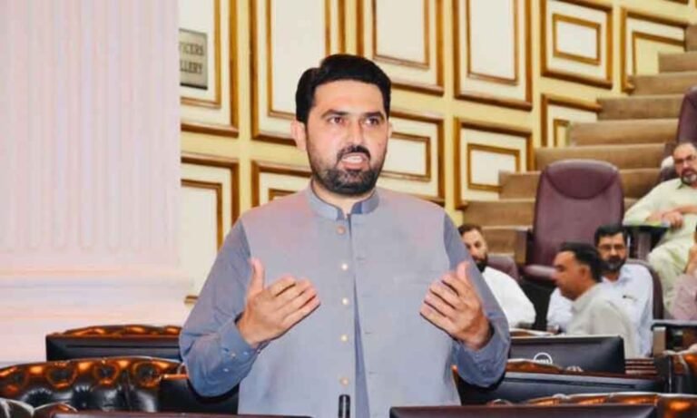 Who Is Sohail Afridi, The Choice of Imran Khan