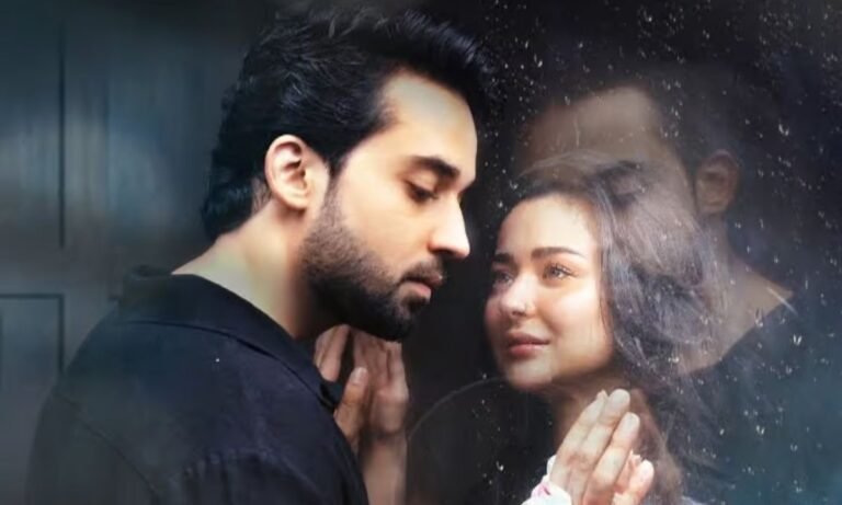 Everything You Need to Know About Meri Zindagi Hai Tu