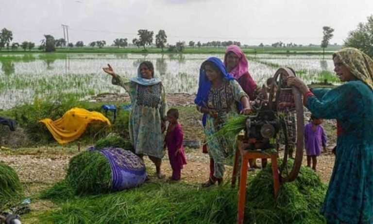 Provinces Revert Agri Tax Ahead of IMF Tranche Approval