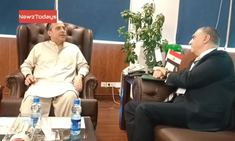 Pakistan eyes stronger maritime links with Egypt