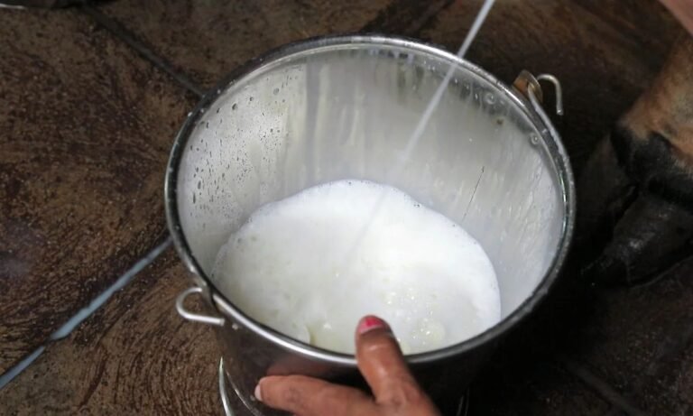 Karachi Milk Price Set to Reach Record High from October 11