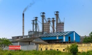 sugar cartel case back to Tribunal