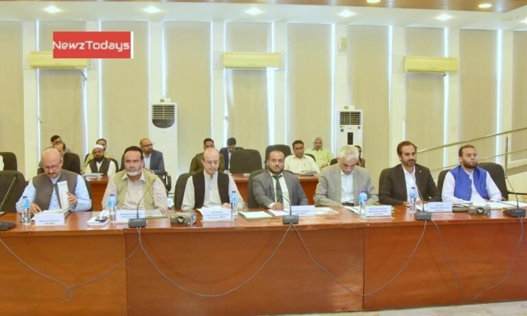 Pakistan sets 29.7M ton wheat target for Rabi 2025–26