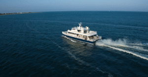 Download KE Duplicate Bill PDF Online 20251114 122233 0000