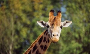 NT 2025 11 02T182824.439