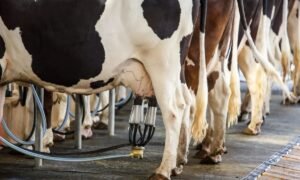 NT 2025 11 02T183610.130