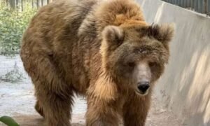 NT 2025 11 05T104607.780