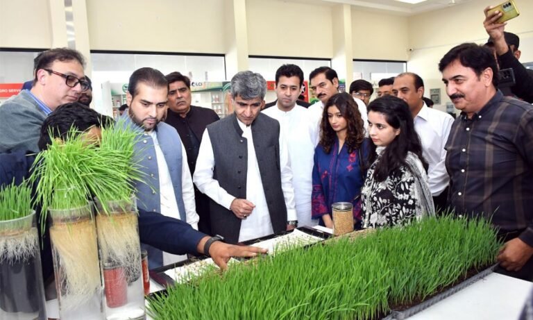 Syngenta Pakistan Revives Hope for Flood-Affected Farmers in Punjab