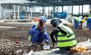 NT 2025 11 13T102653.029