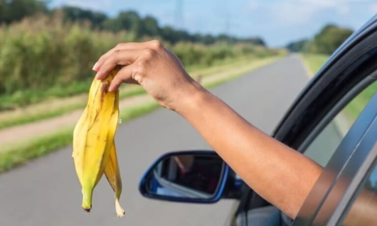 New Motor Vehicle Rules Target Road Safety in Punjab