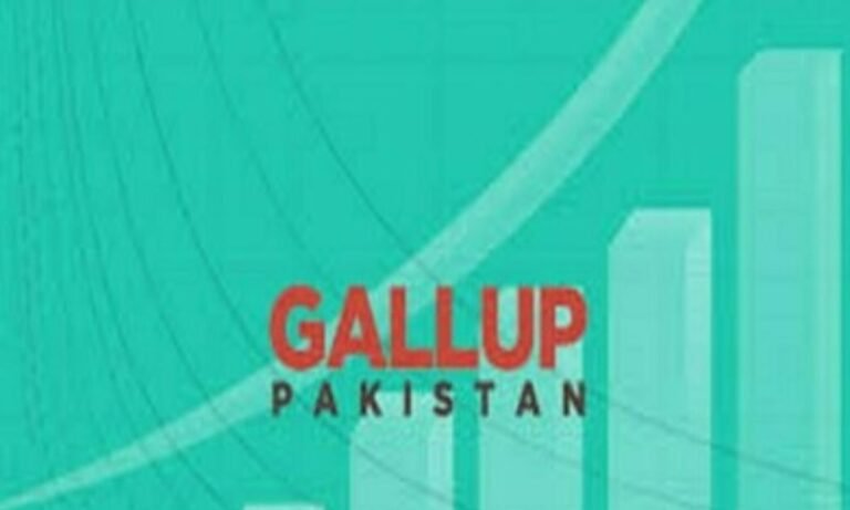 Gallup Pakistan Reports Slight Drop in Business Confidence