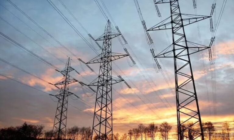 Discos Slash Power Losses as Anti-Theft Efforts Rise