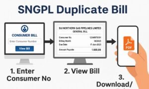 sngpl duplicate bill