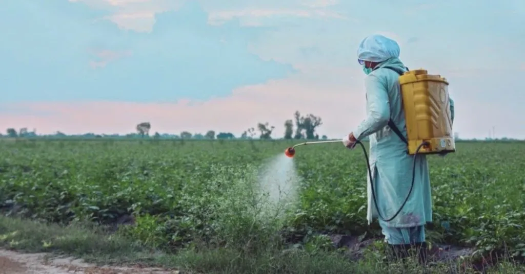 CCP report on pesticides