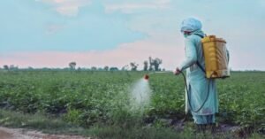 CCP report on pesticides