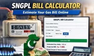 sngpl bill calculator