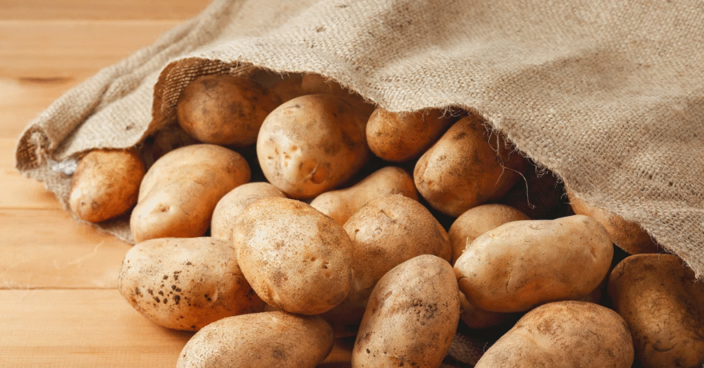 20260304 172849 0000