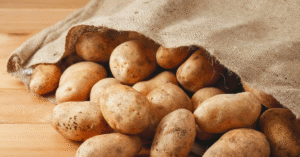 20260304 172849 0000