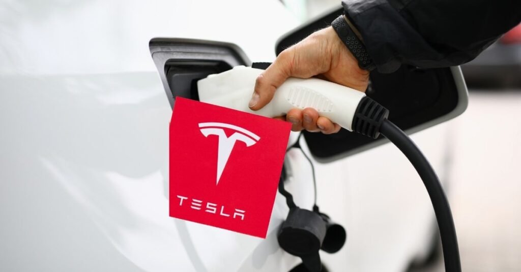 tesla china sale in february 2026