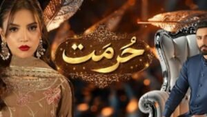 Hurmat Drama