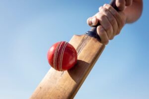 Making a score by batting in cricket match