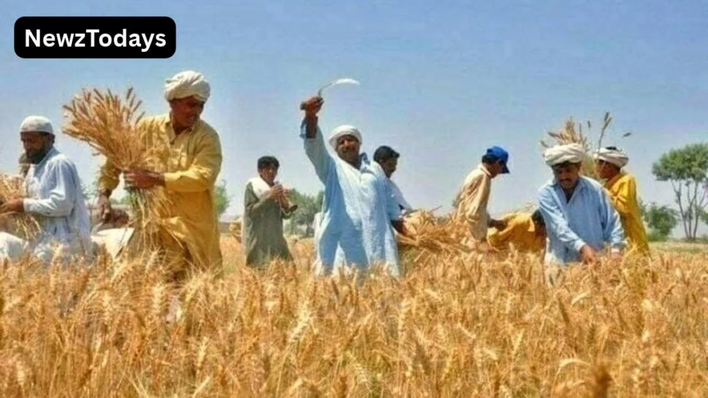 Punjab Launches 10 Support Measures for Farmers Including Apna Kisan Bank